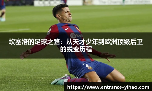 坎塞洛的足球之路：从天才少年到欧洲顶级后卫的蜕变历程