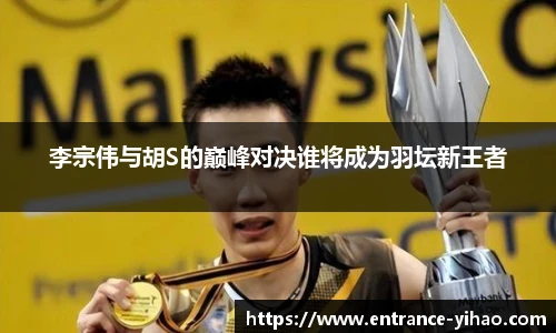李宗伟与胡S的巅峰对决谁将成为羽坛新王者